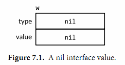 nil interface